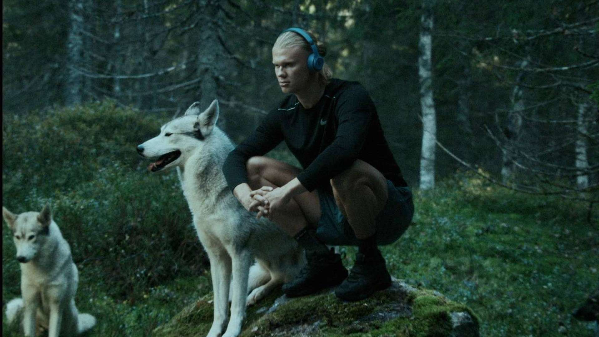 励作用以及 励作用以及