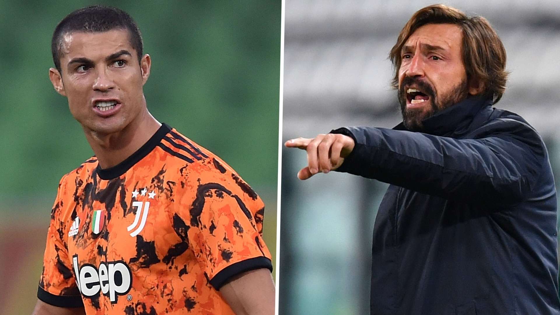 的情谊常常 的情谊常常